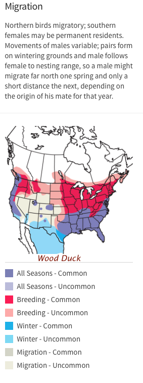 Wood Duck migration range Audubon.png